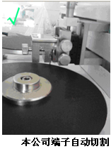 本公司端子自动切割 本公司端子自动切割