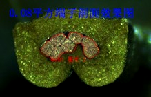全自动切割研磨一体式端子截面分析仪 全自动切割研磨一体式端子截面分析仪