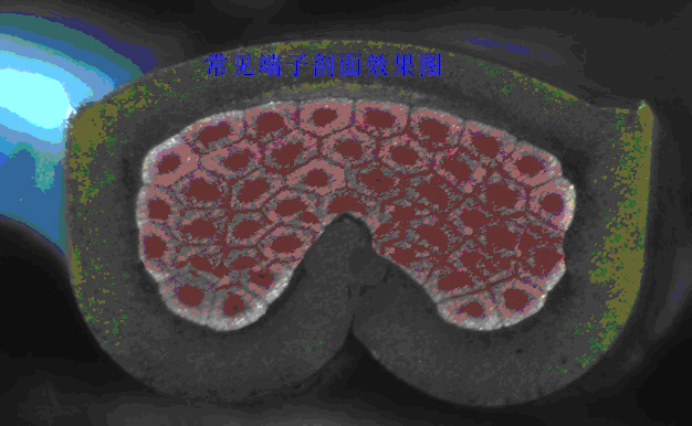 全自动切割研磨一体式端子截面分析仪 全自动切割研磨一体式端子截面分析仪