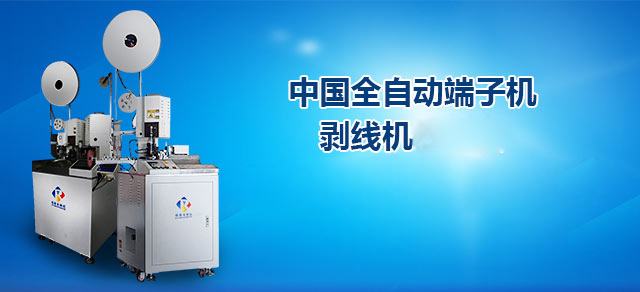 瑞扬全自动端子机